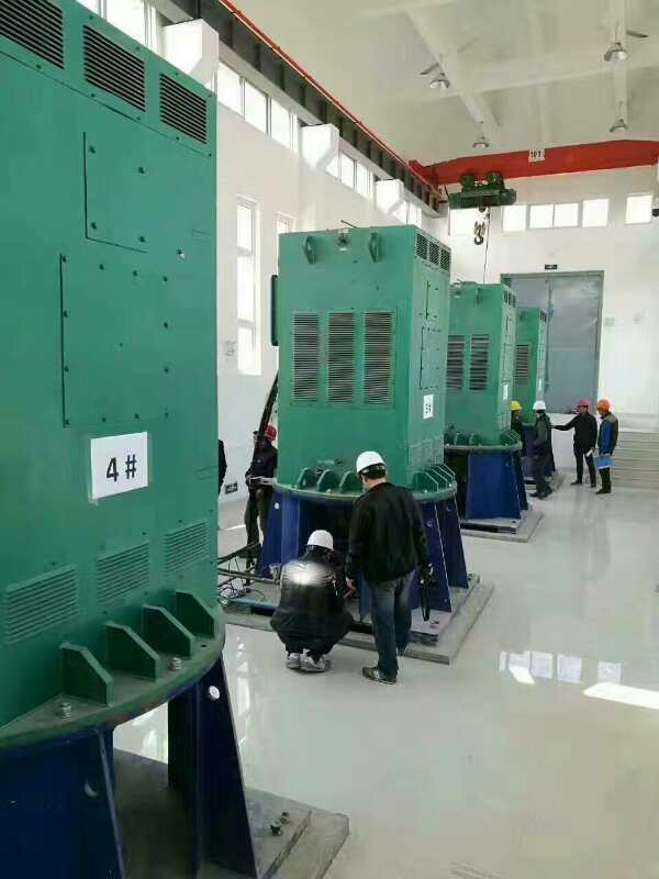鹤山某污水处理厂使用我厂的立式高压电机安装现场